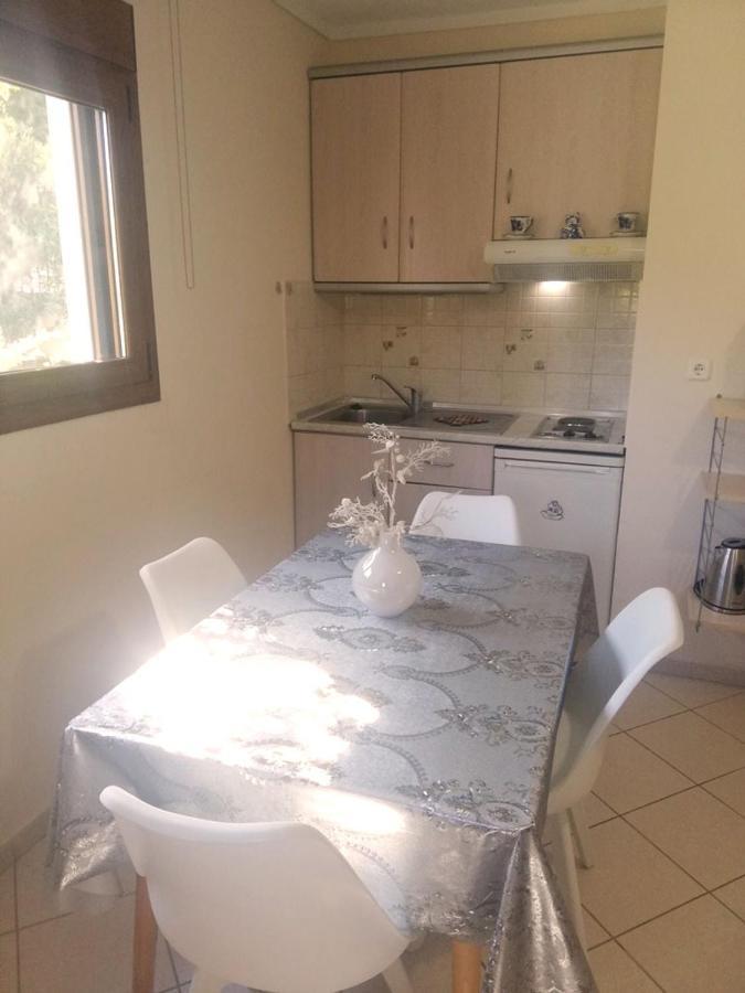 En Iko Christianna Apartment Олимпия Екстериор снимка